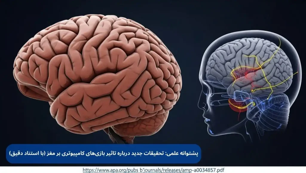 پشتوانه علمی: تحقیقات جدید درباره تاثیر بازی‌های کامپیوتری بر مغز
